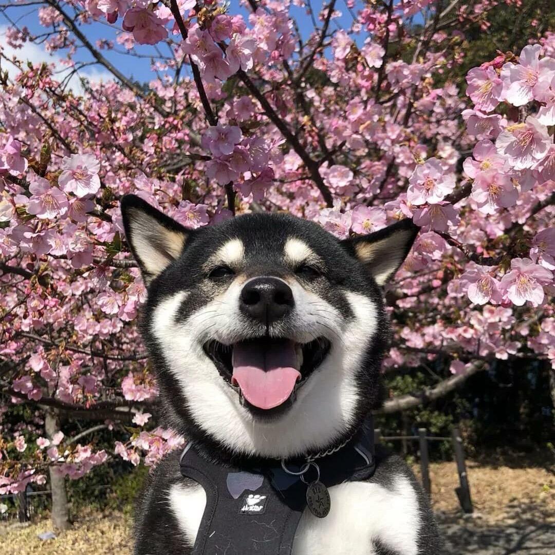 逃避