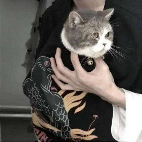 七月（三角洲行动）