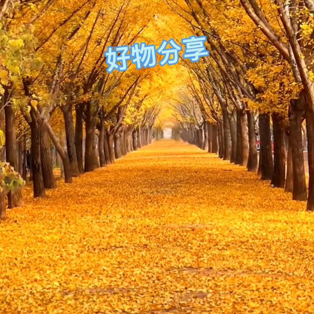 馨馨好物分享
