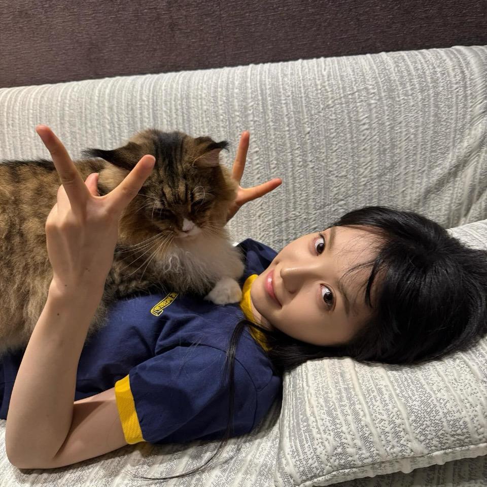 韩云帆