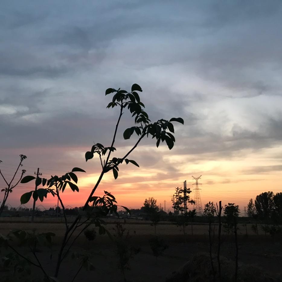 Angie生活英语（我的温暖治愈生活）