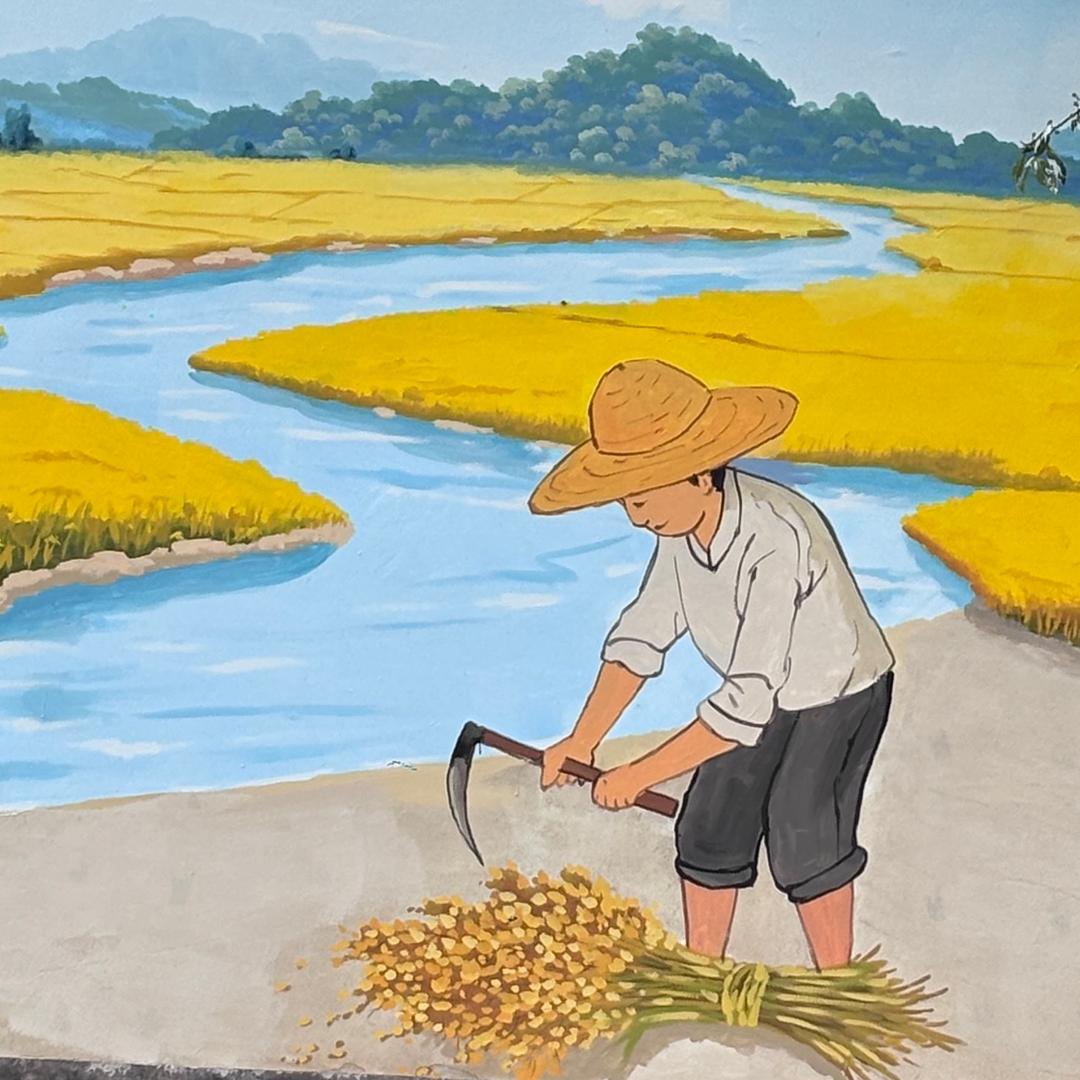 小王的土味日常