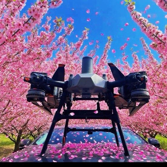 小蔡哥