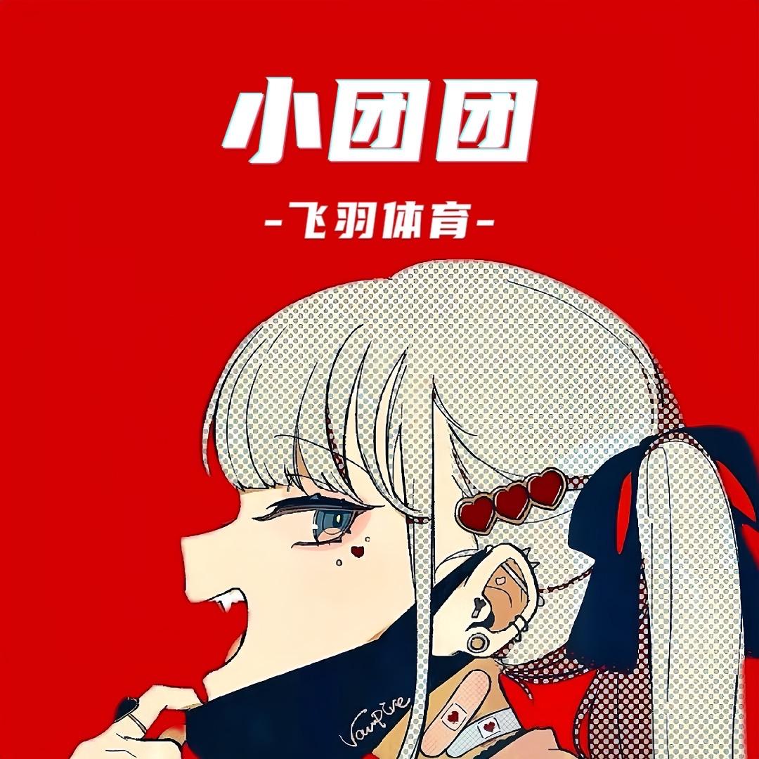 飞羽-小团团