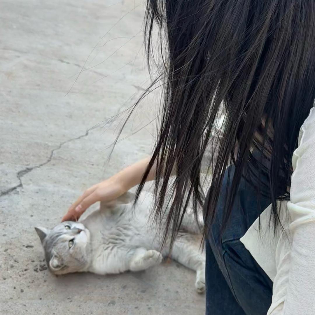 遇