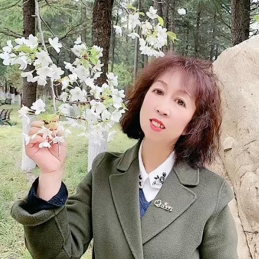 龍行⭐蓝色熏衣草12