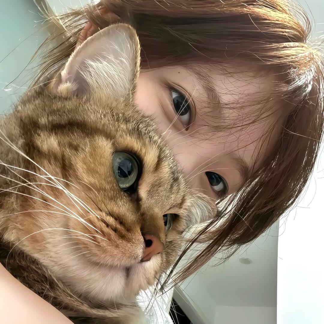 泪凝噎^_^