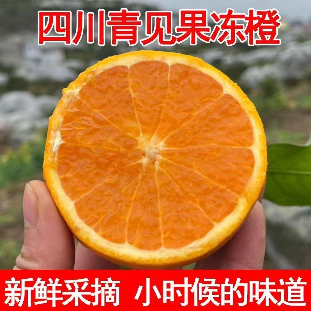 青见果冻橙果园