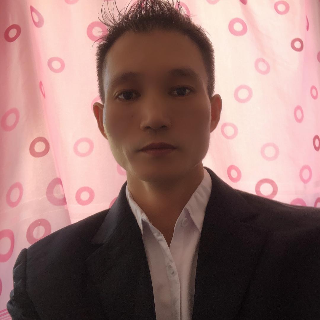 青树—AI荒诞