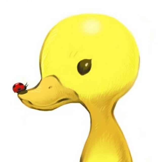 南竹艺鸟笼厂