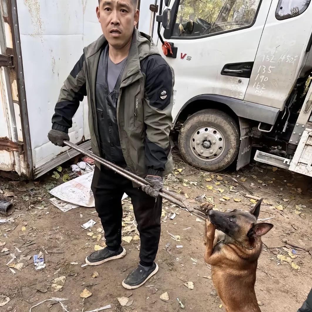 A 专业套狗全国可接