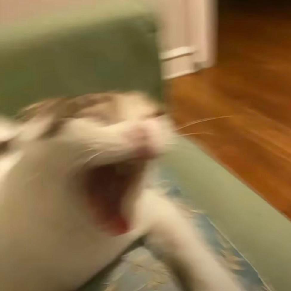 卤卤卤猪蹄