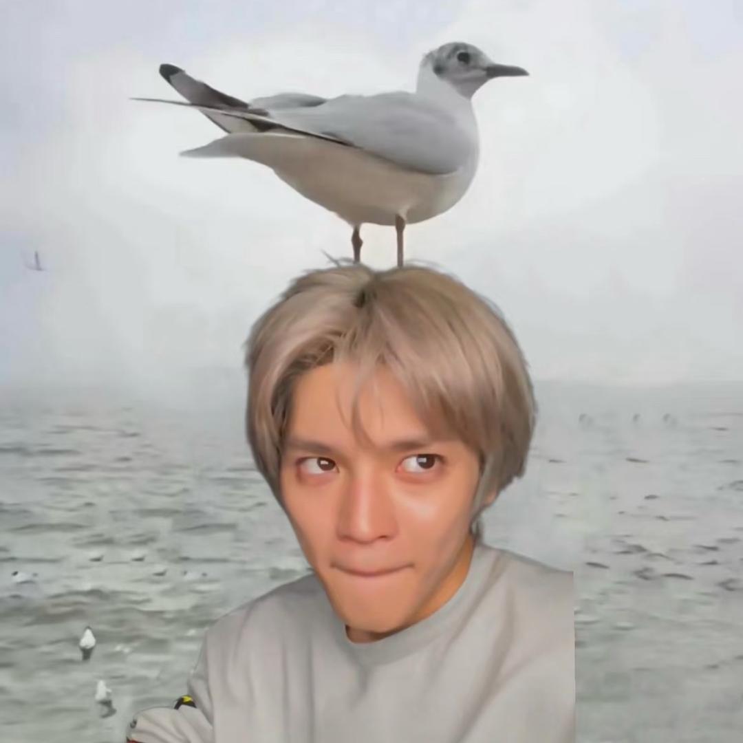 三婚读懂人生老公昨天刚死