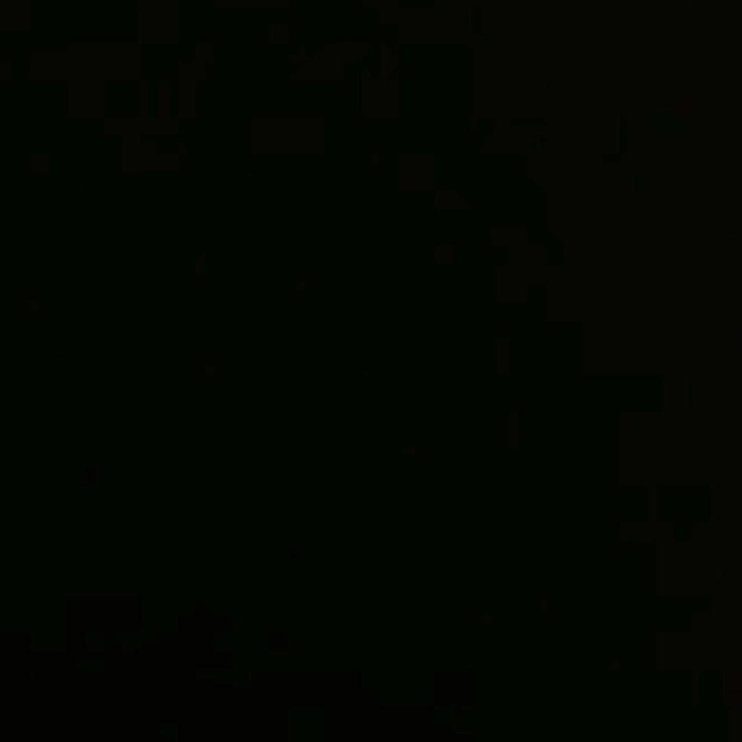 小𝓩