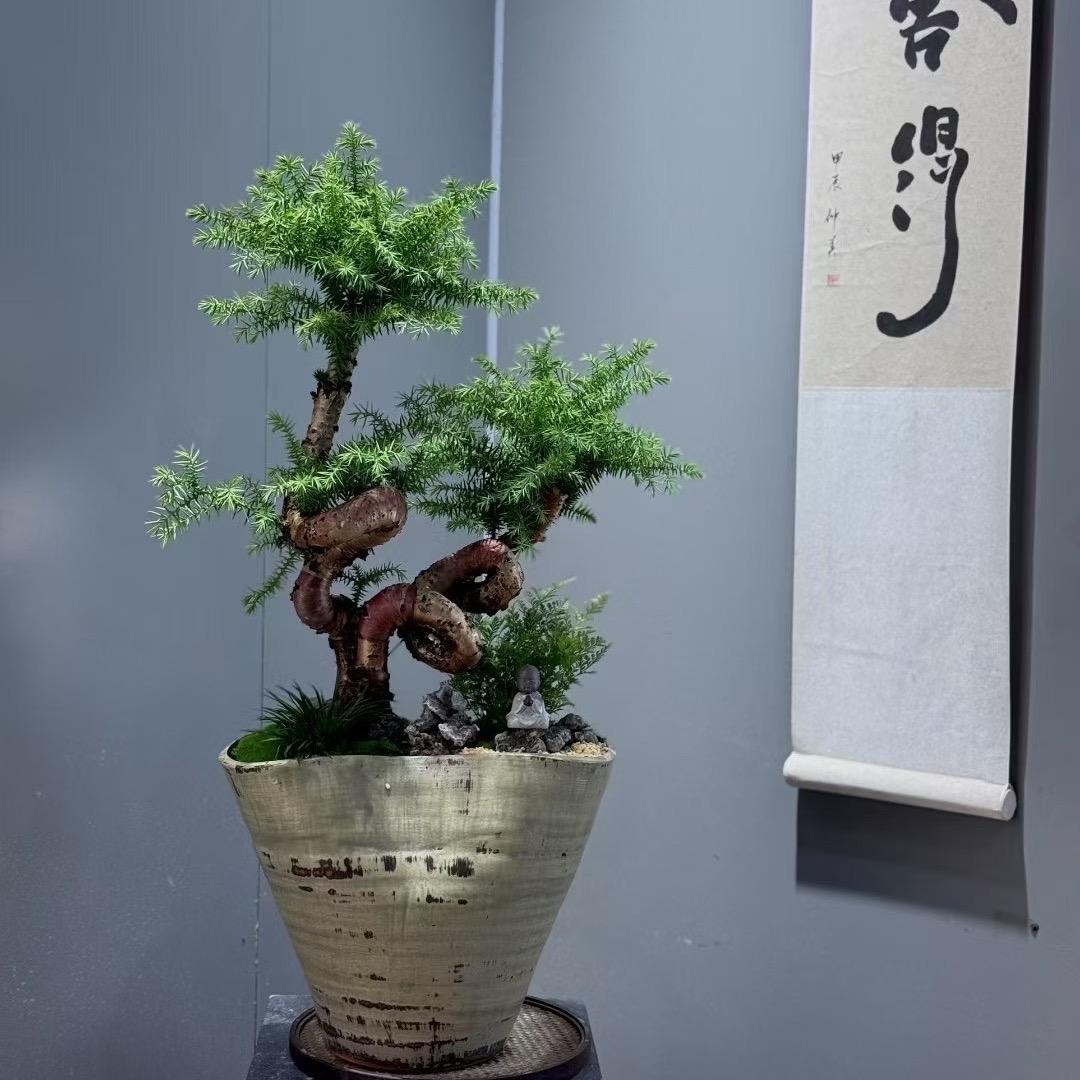 韦什么！