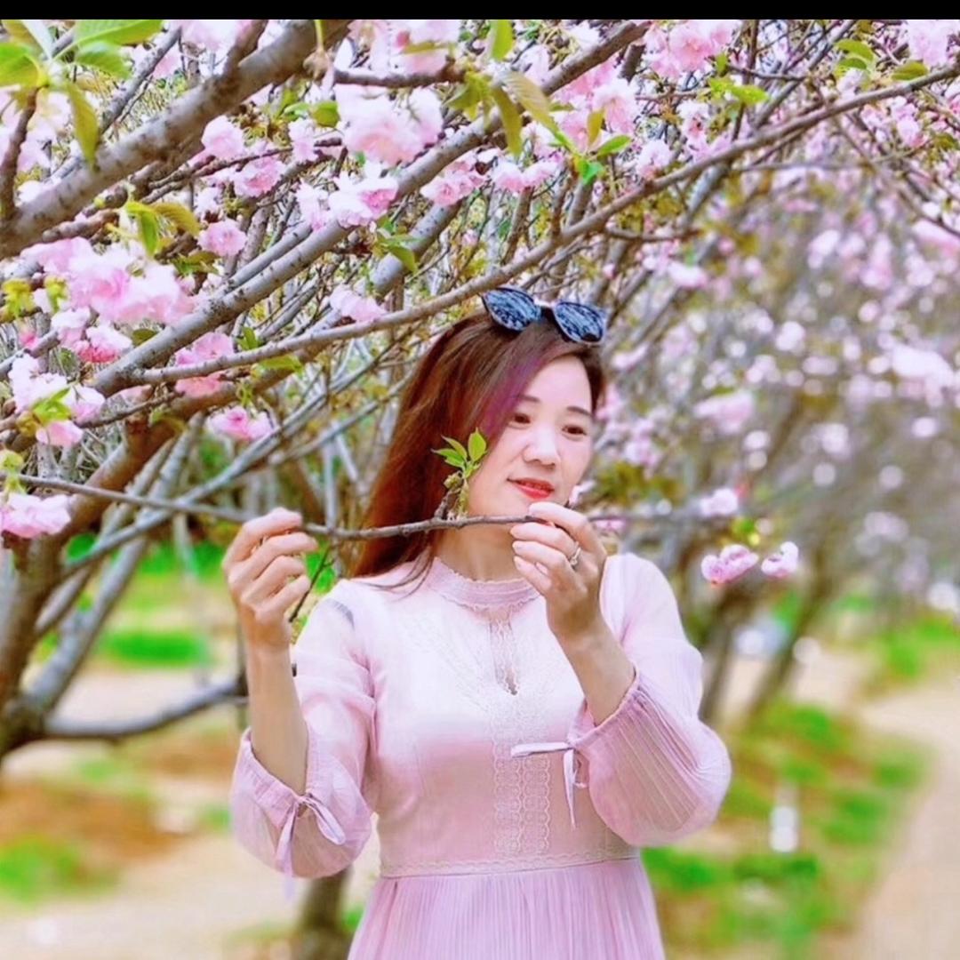 樱花下的浪漫