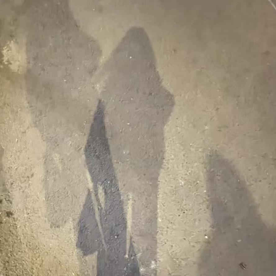 清蒸鱼