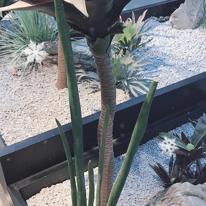 啊佐同城达经营部