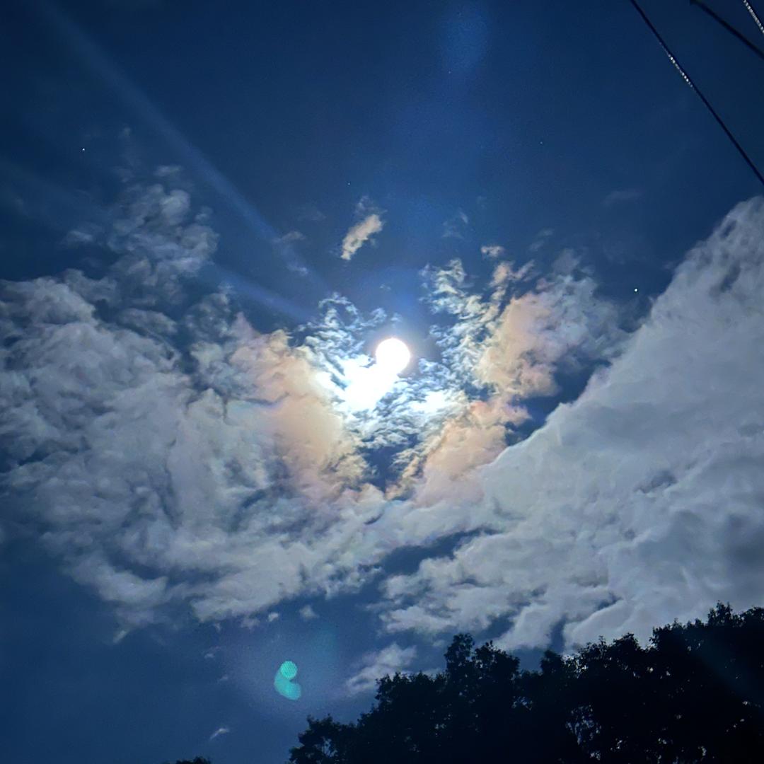 手可摘星辰