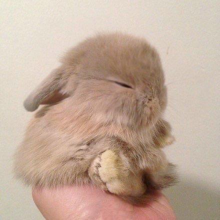 春风十里不如悦己