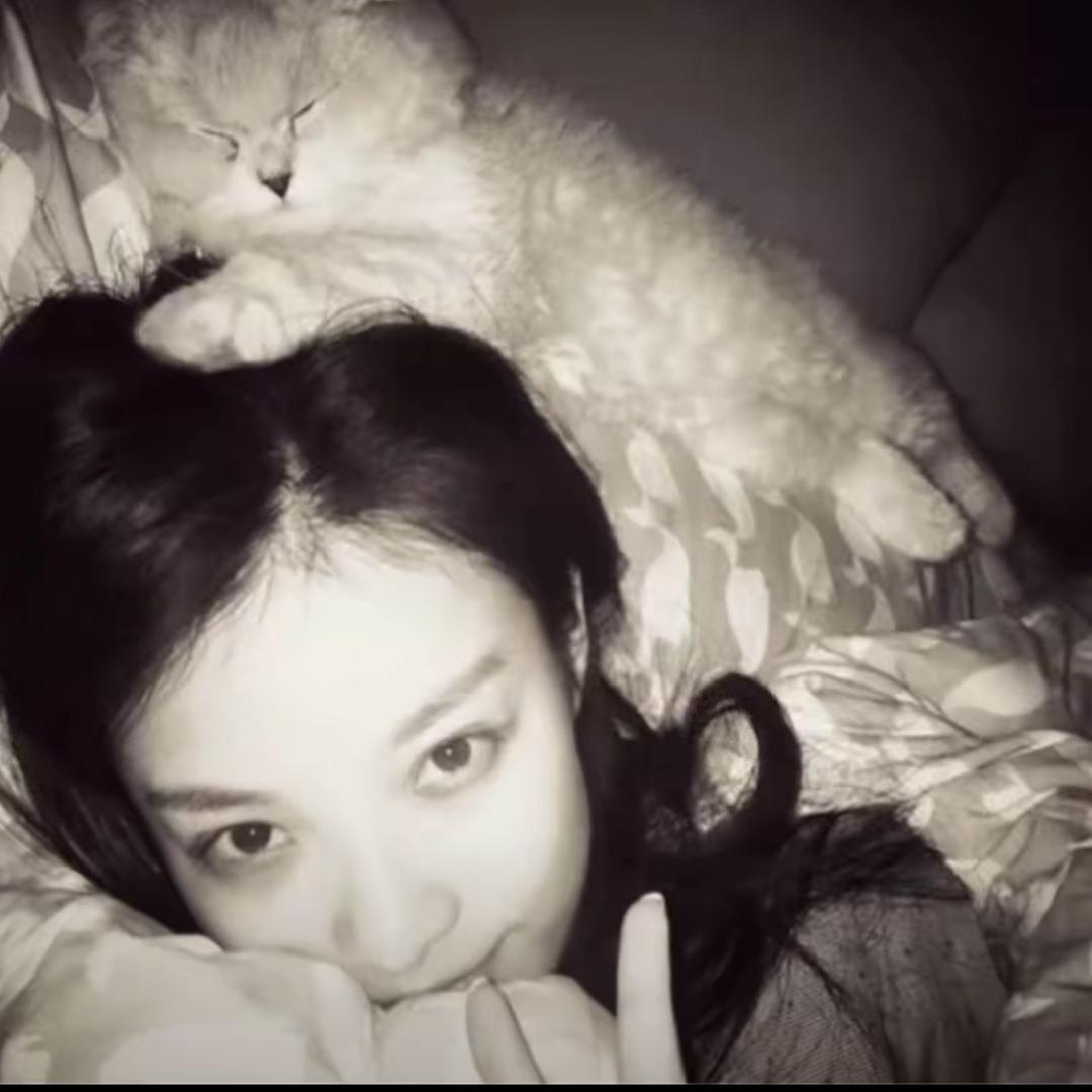 ㅤㅤㅤㅤ ㅤ ㅤㅤ冰