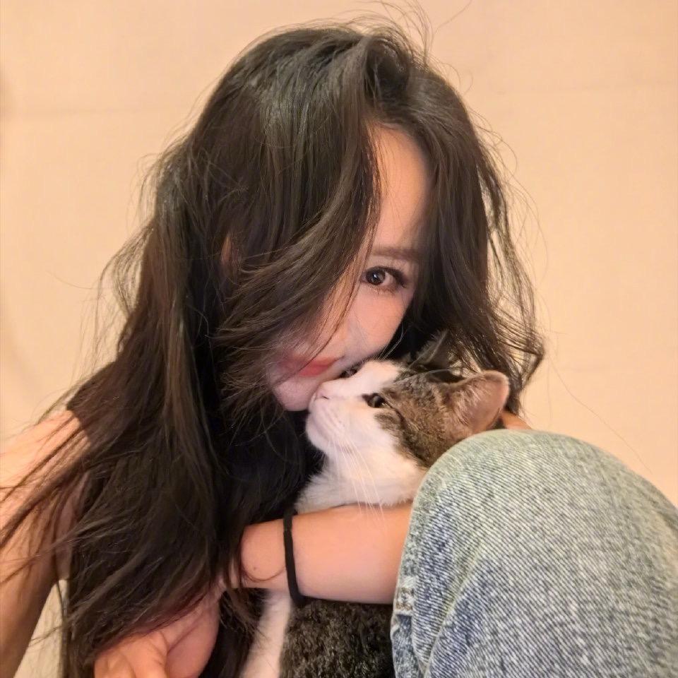 🐟鱼圆