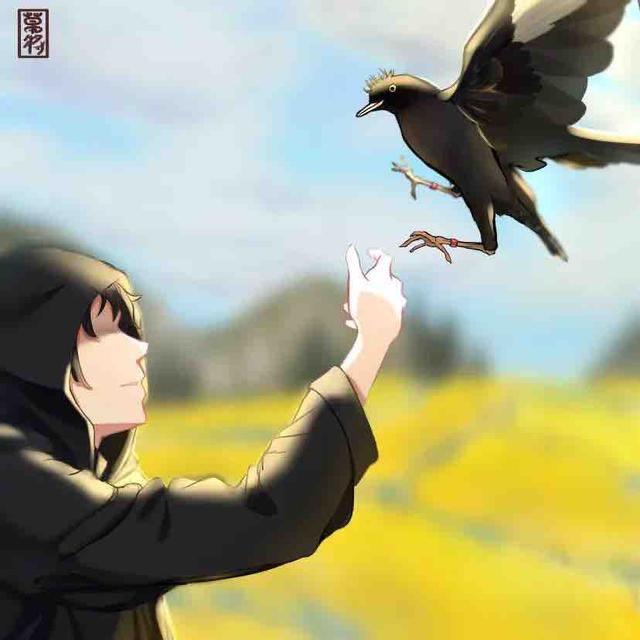 天下一场梦@抖音