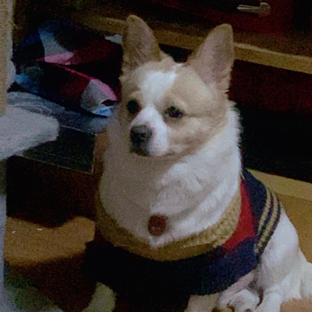 一笑而过❤️❤️