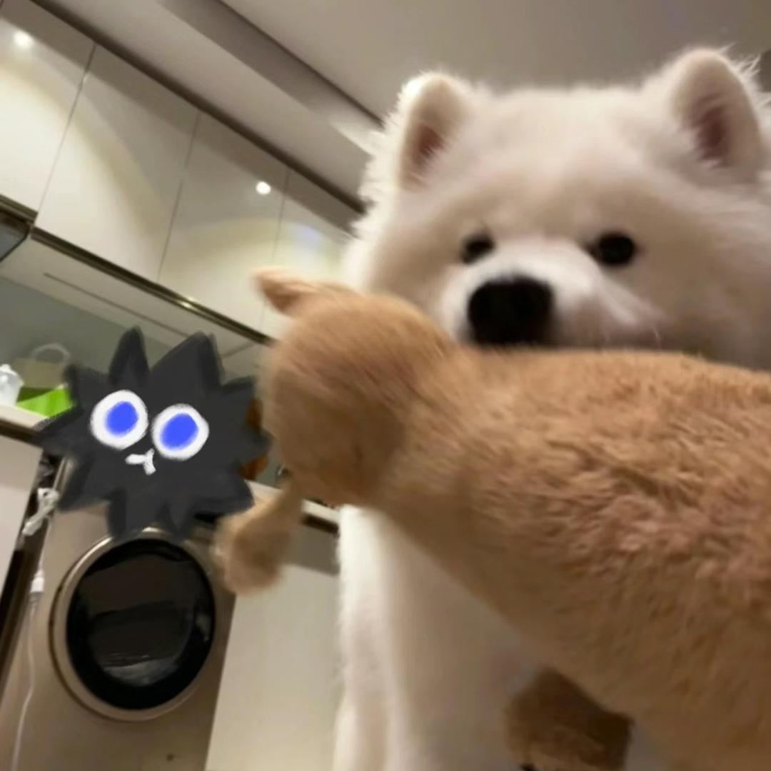 不知道起什么名字