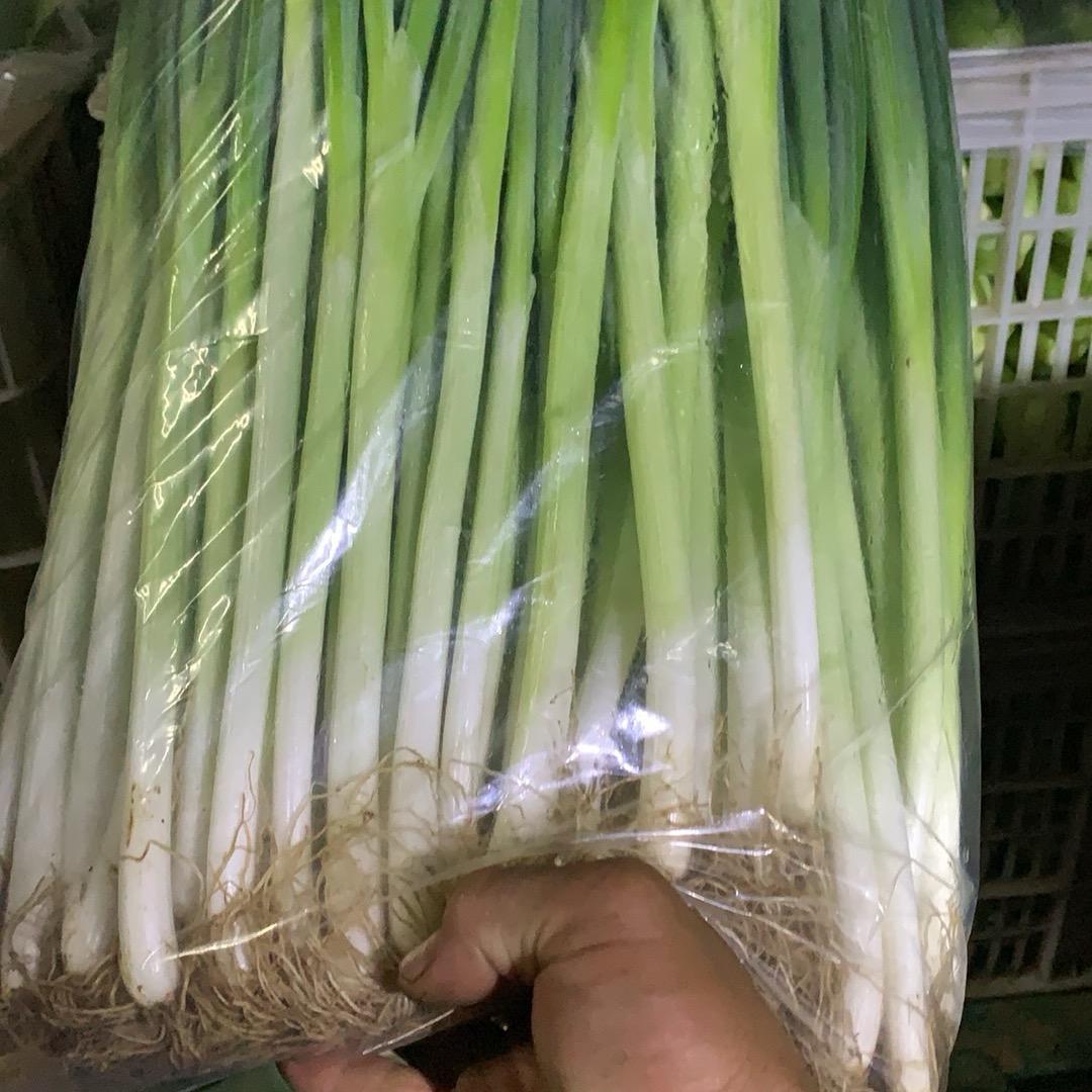 花开花落