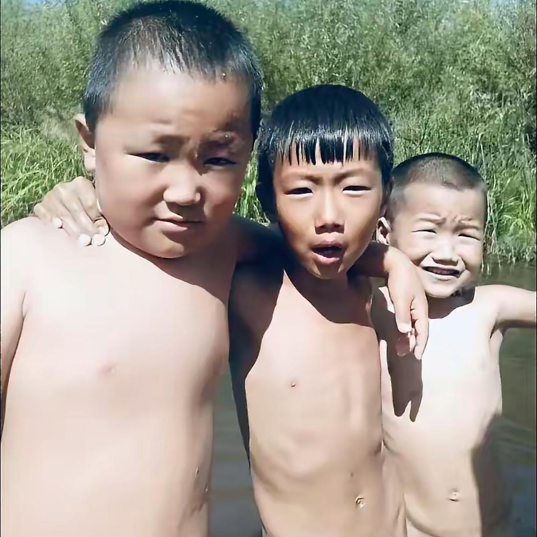 上进的蛆