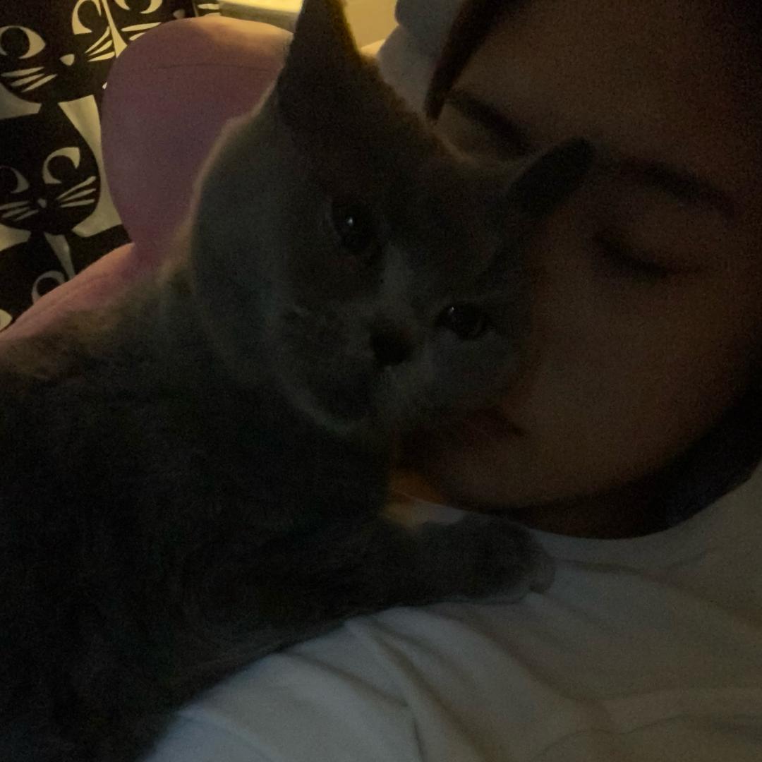 张得美