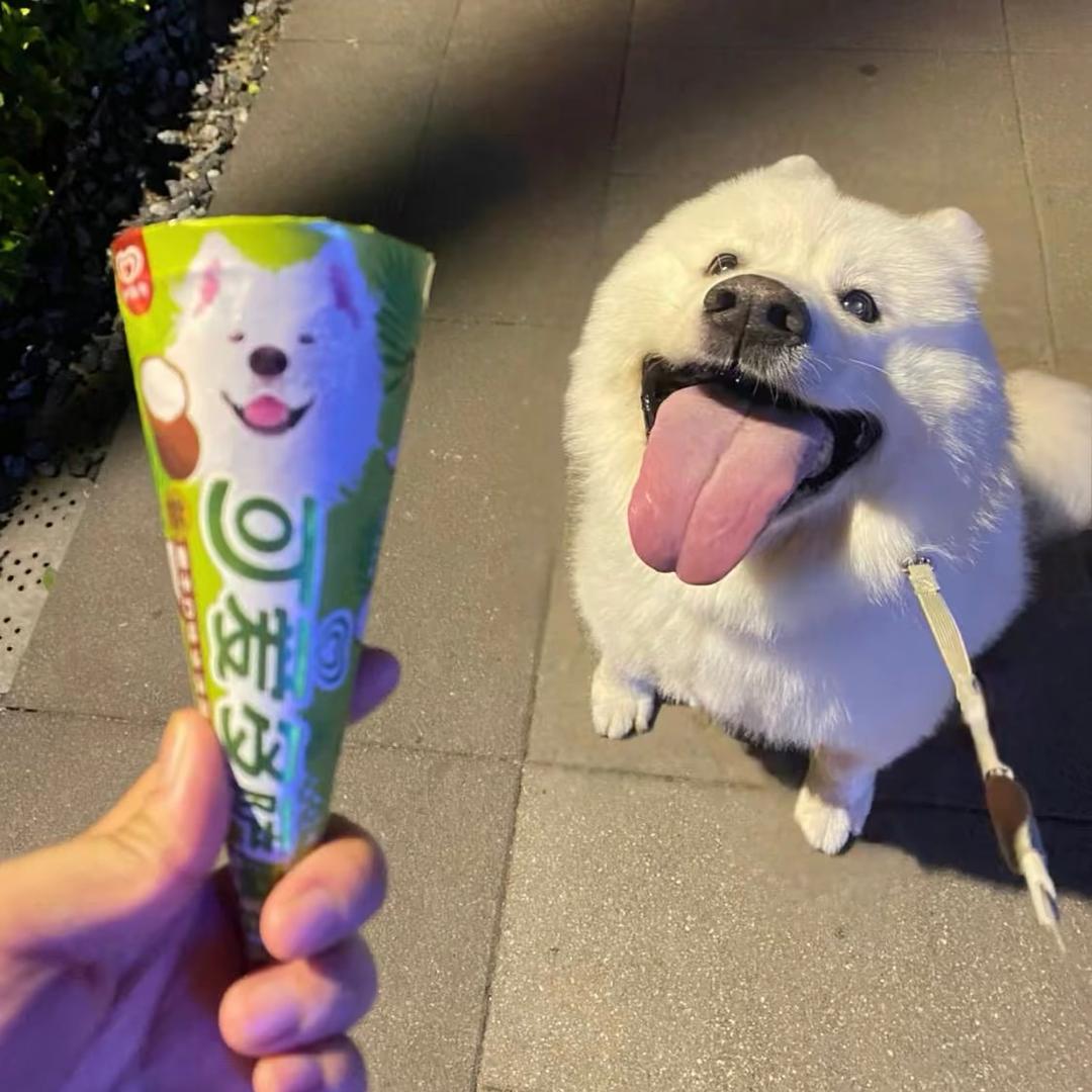 尿你今天喝什么