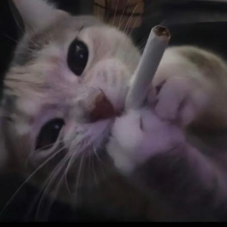 下辈子当财阀