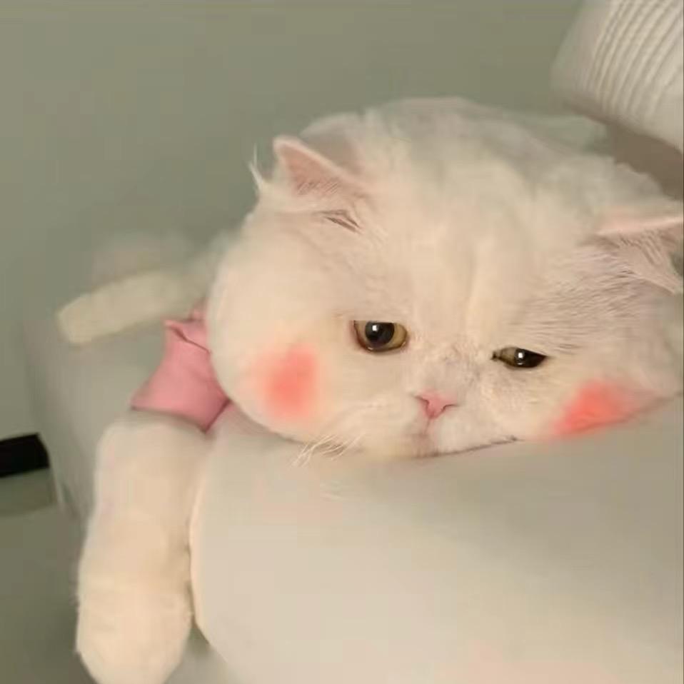 填写姓名