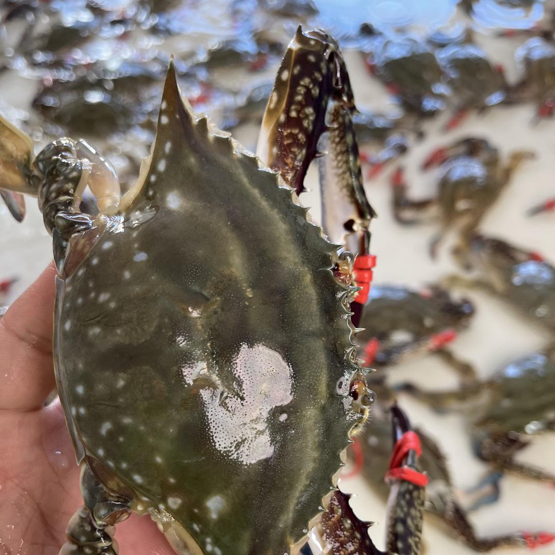 鑫浩生鲜