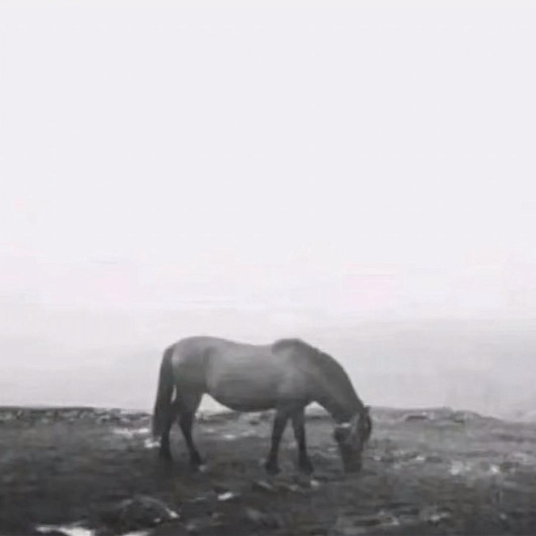 施澈