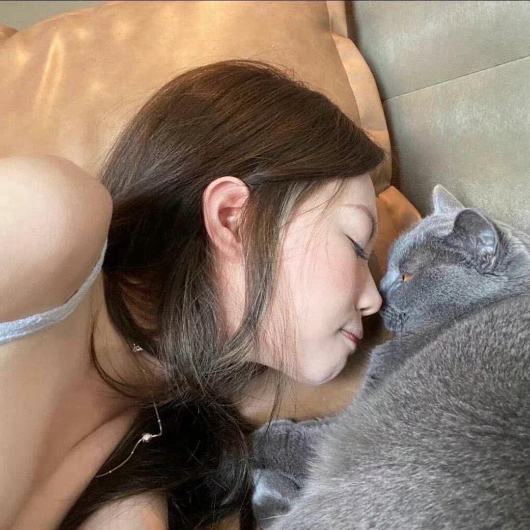 范倪