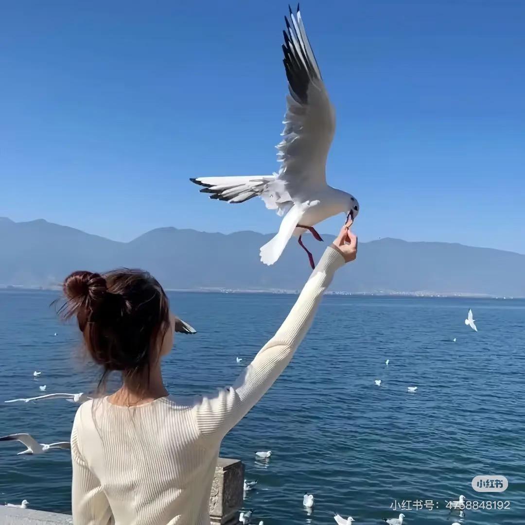 江茶