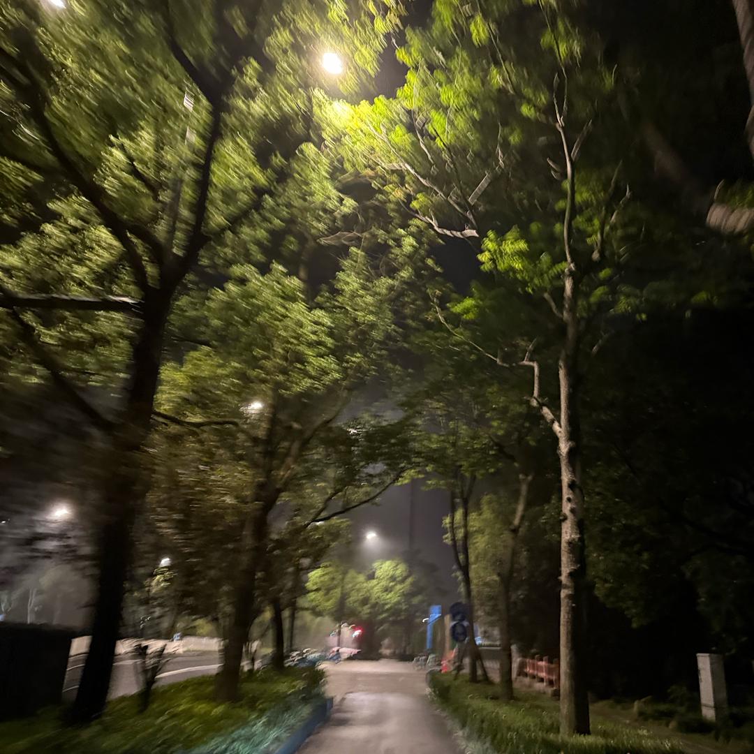 大饼🫓是只猫