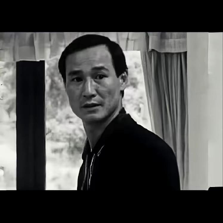 《是辉不是昏》长兴招聘