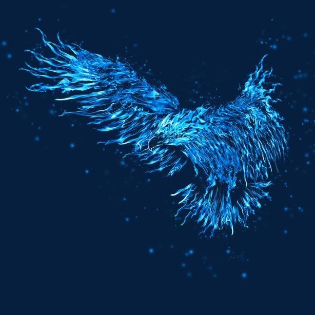 Blue eagle