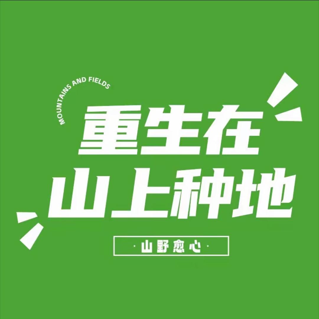 小龙女姐姐-山野愈心