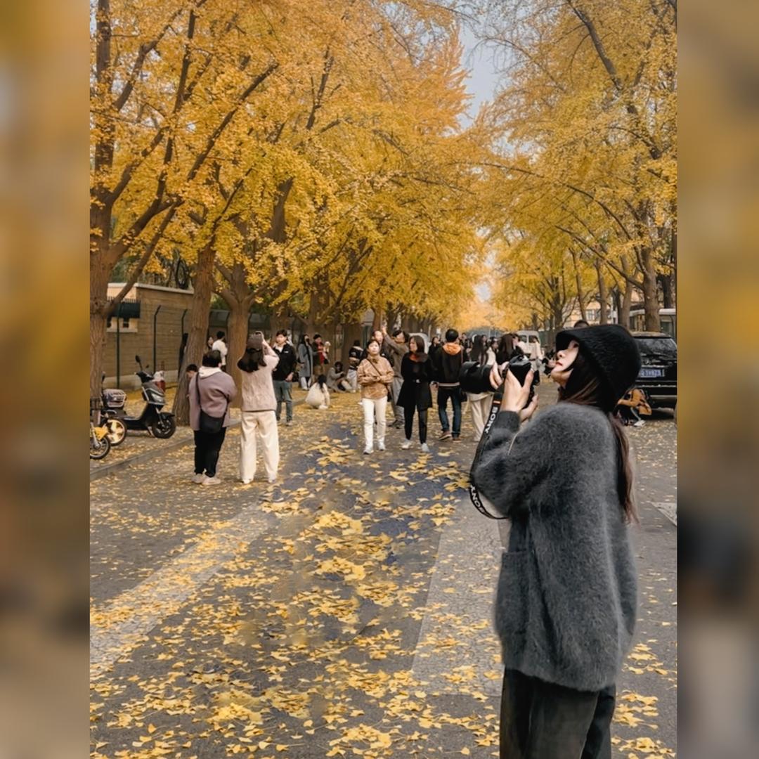 衡阳女摄素素📷
