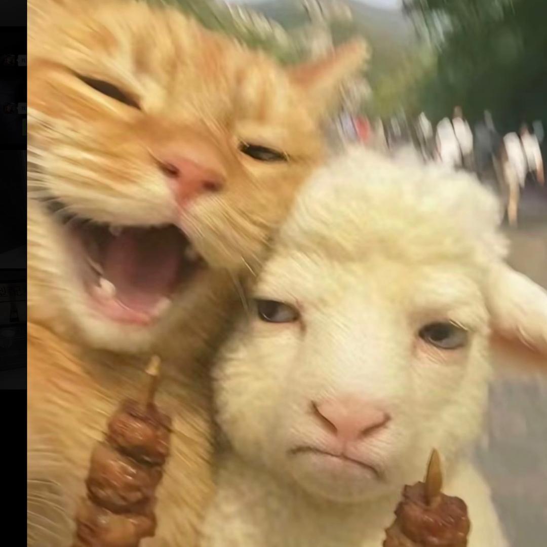 Fˢ