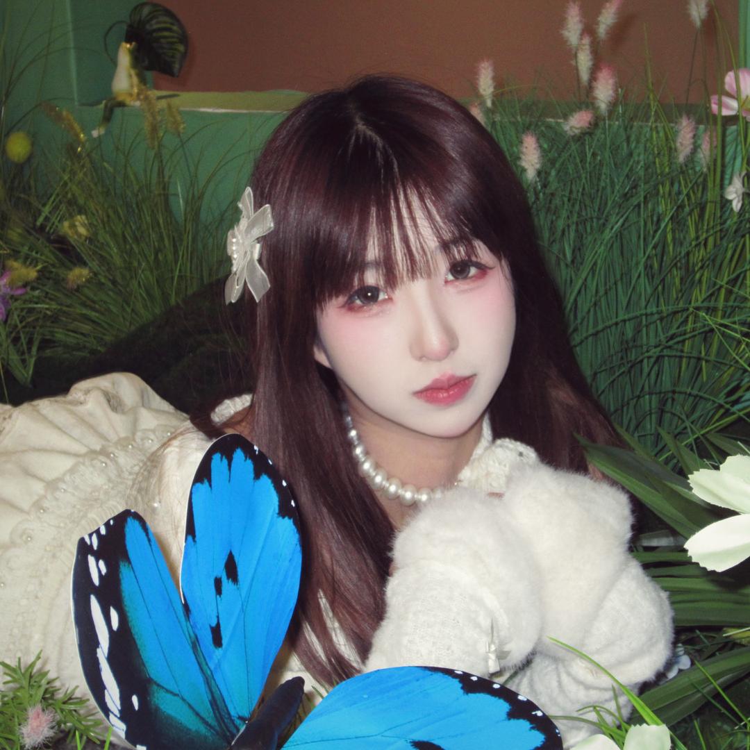 晕晕子🐰