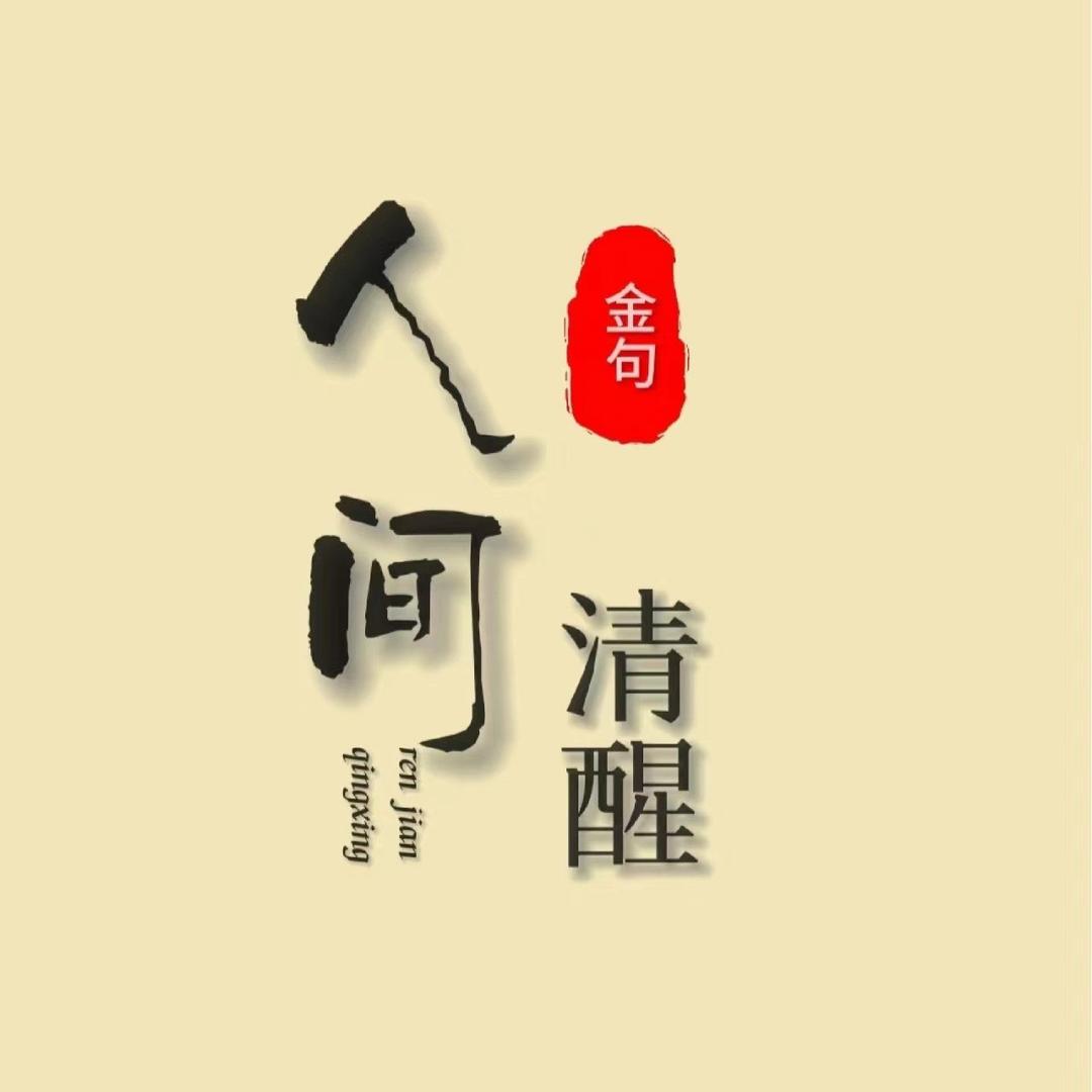 人间清醒金句