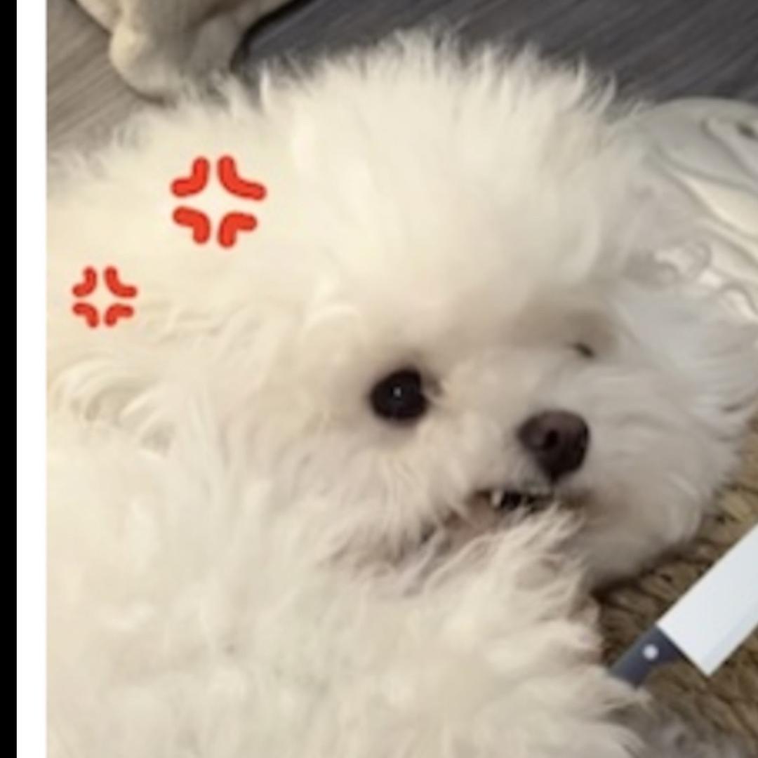 不减到180不改名