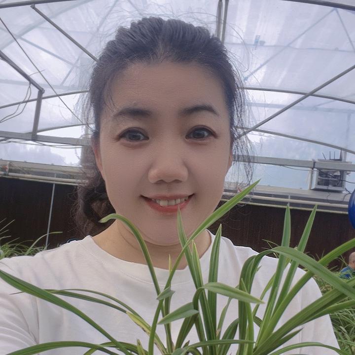 珍祁怪兰种植园