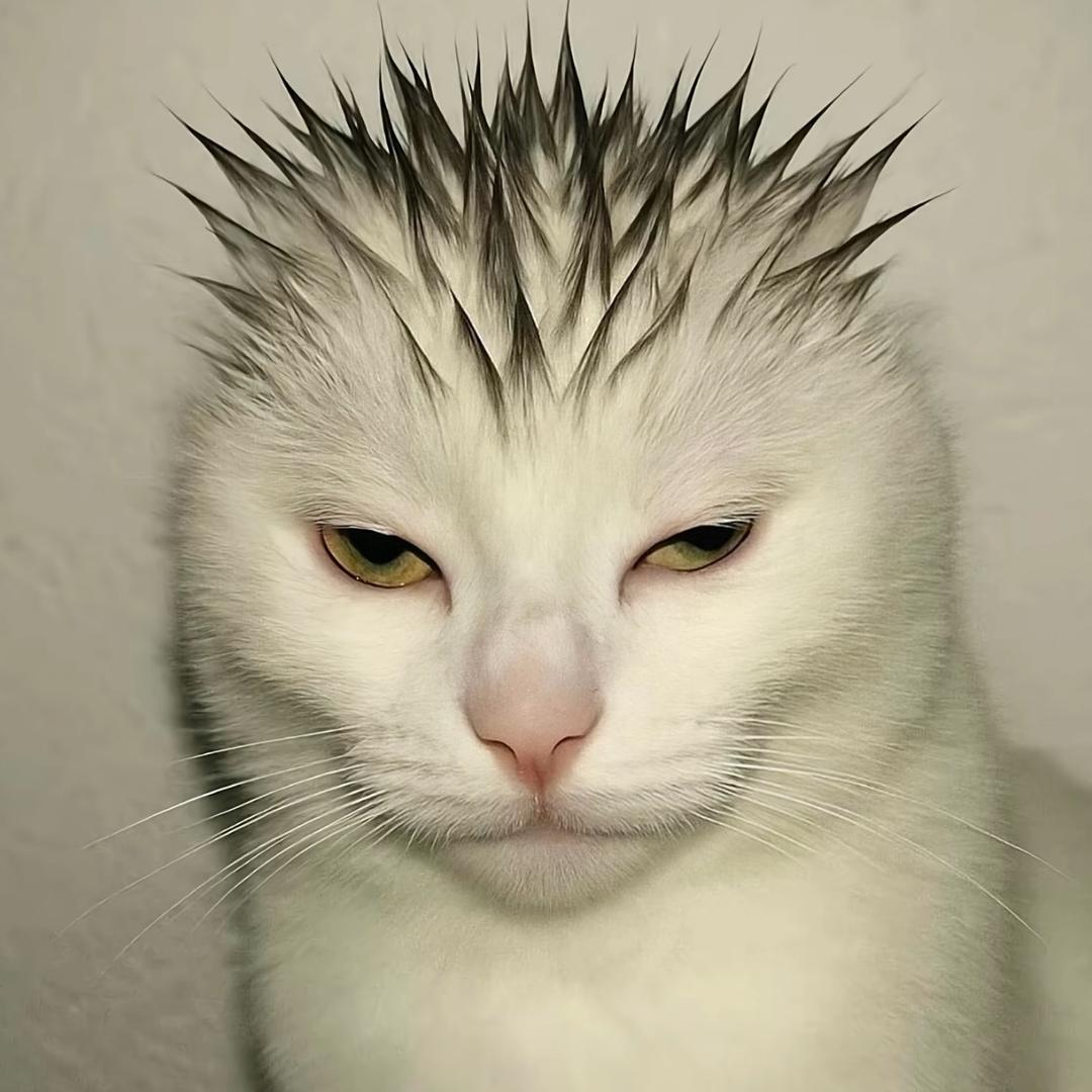 白大帅